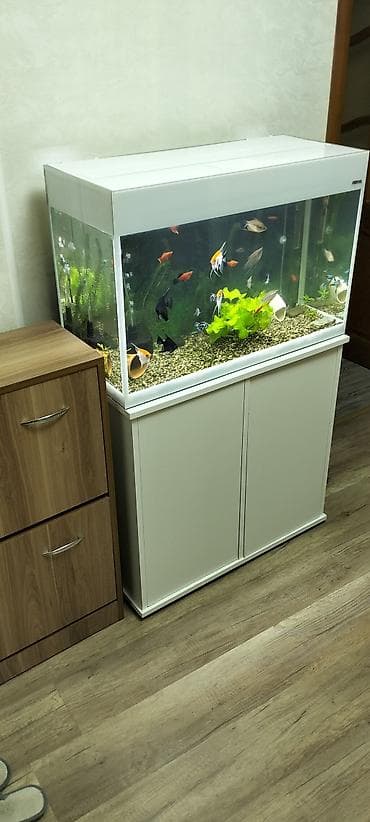 Аквариум-шкаф, Вместе с рыбами, 125 л, Самовывоз — 2
