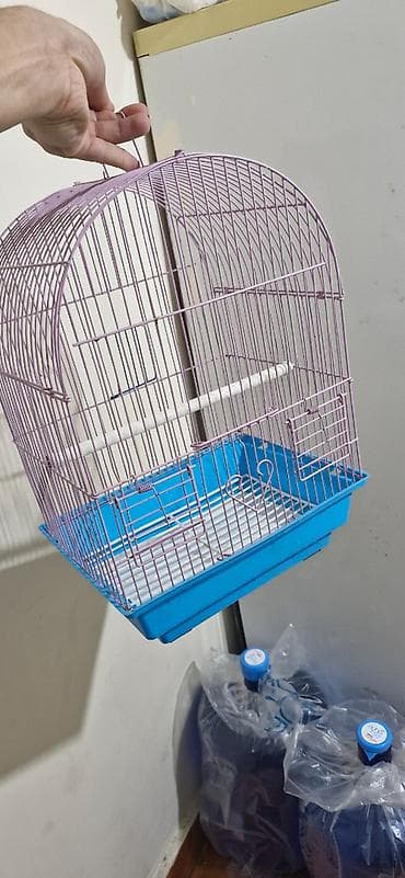 Yeni almışıq. Üstündə yem qabı və su qabı da var