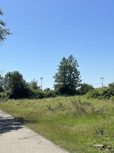 недвижимость в баку из рук в руки: 24 sot, Biznes üçün, Mülkiyyətçi, Kupça (Çıxarış) — 6