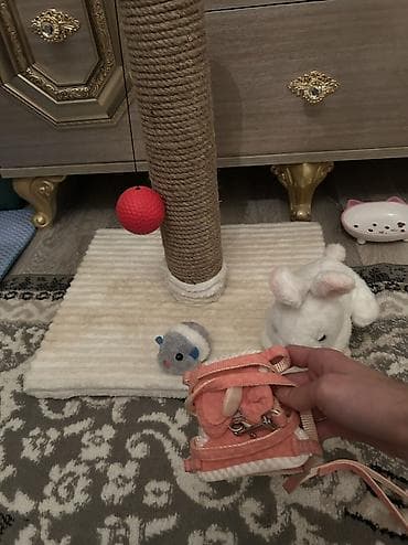 Britan, Dişi, Yaxşı əllərə — 7