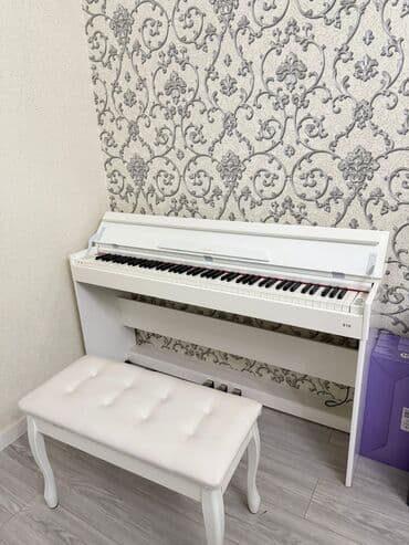 аксессуары для акустической гитары: Digər musiqi alətləri — 2