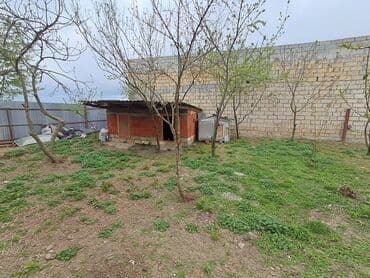 suraxanıda kirayə evler: 6 otaqlı, 170 kv. m, Kredit yoxdur, Yeni təmirli — 4
