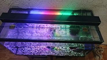 akvarium aksesuarlari: Salam akvarium satılır cızıq leke yoxdu üsdündə qapağı var boş halda — 2