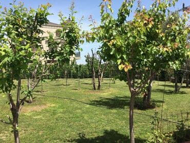 ev certiyojları: 90 kv. m, 2 otaqlı, Qaz, İşıq, Su — 4