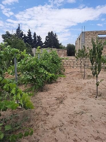 yaşma bağları torpaq: 10 sot, Kənd təsərrüfatı, Mülkiyyətçi, Kupça (Çıxarış) — 5