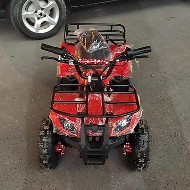 uşaq yelenceyi: Uşaq elektro-kvadrosikl LW-ST100, 36V 12Ah, Qırmızı Texniki — 2