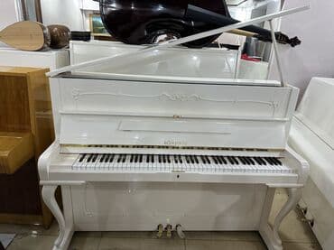 Piano, Petrof, Akustik