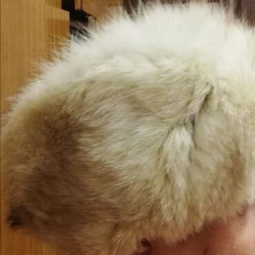 tak ori qadın papaqları: Papaq, xanım üçün. Heç istifadə olunmayıb — 2