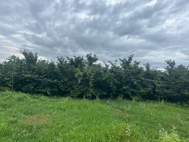 tap az evler kirayə xudat xacmaz qubada: Bakı, 100 kv. m, 3 otaqlı, Hovuzsuz, Qaz, İşıq, Su — 21