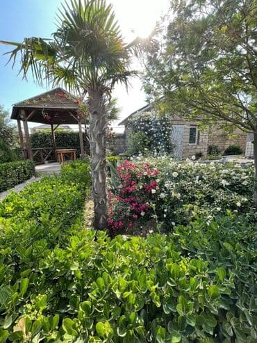 ev certiyojları: 100 kv. m, 2 otaqlı, Hovuzsuz — 6