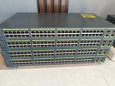 Svicler catdirilma var