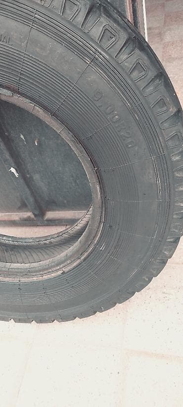 şam disgi: İşlənmiş Şin 260 / >80 / R >34 — 2