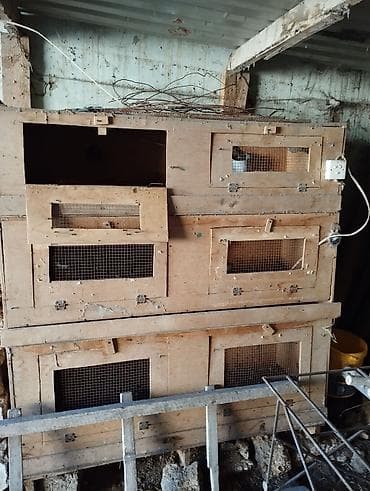 qefes xamyak: Taxta çoxmertebəli qəfəs komplekti - Material: qalın faner/taxta — 2