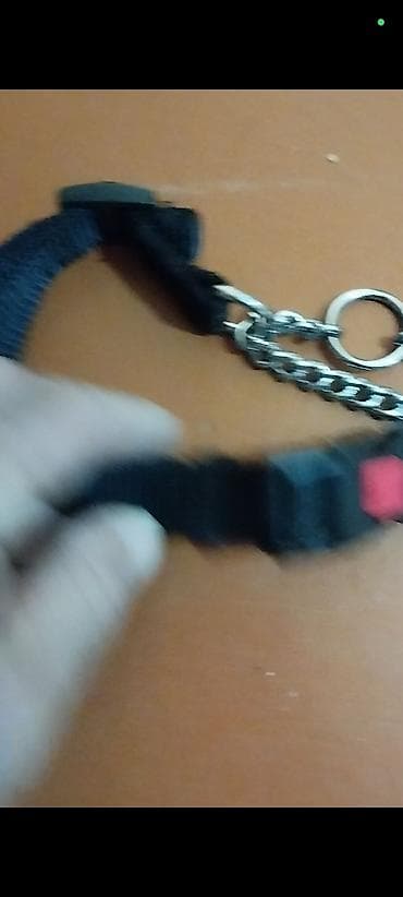 Akvariumlar: İt üçün tənzimlənən boğazlı naqolaylıq əleyhinə yaxalıq. - Material — 1