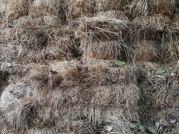 Heyvanlar üçün mallar: Salam. Yonca qarışıq ot presləridir. Bağlı yerdə saxlanılıb, göyləri — 4