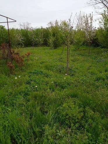 mehtabatda torpaq satilir: 32 sot, Mülkiyyətçi, Kupça (Çıxarış) — 6