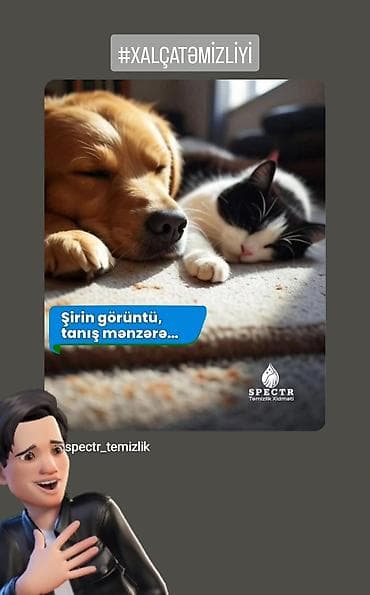 matras temizleme: Təmizlik | Evlər | Ümumi təmizlik — 5