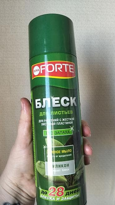 torf satilir: Bağ və otaq bitkiləri üçün peşəkar qulluq dəsti 1) Bona Forte “Blesk — 1