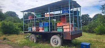 kompresor 1000 liter: Səyyar arıxana qoşqusu - İki oxlu, təkərləri iri ölçülü qoşqu əsaslı — 3