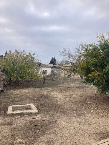 mingəcevir torpaq: Salam 3 Sot torpaq satılır hər bir şey qaydasındadı Çıxarışı sənədləri — 2