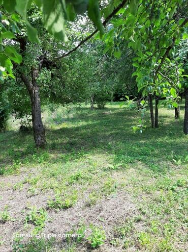 şabran torpaq: 10 sot, Tikinti, Mülkiyyətçi, Kupça (Çıxarış) — 9