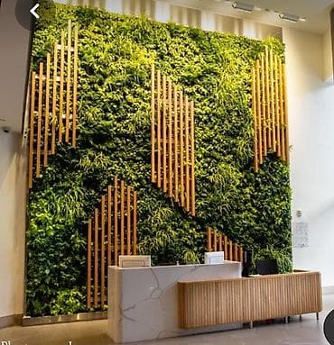 su ceni gence: Ev ofis restoran ve s yerlerin suni gul dekor iwleri 1 kv - 130 azn — 5