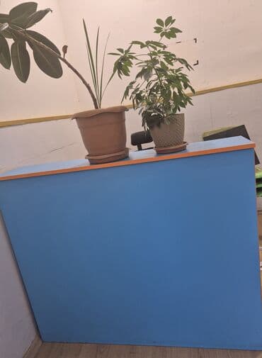 Rəngli resepsiyon/qarşılama masası - Material: laminat/LDSP tipli