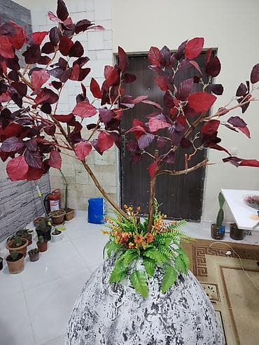 dekorativ bitkiler: Böyük dekorativ kompozisiya – süni ağac və bitkilərlə bəzədilmiş iri — 3