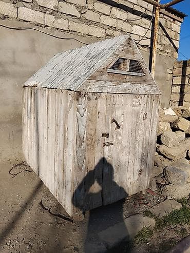 K/t heyvanları və malları: Taxta quşxana / dam - Material: qalın taxta lövhələr və metal dam — 3