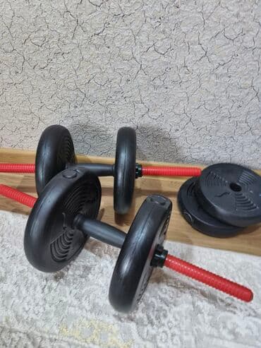 demir halqa ile ariqlamaq: Ştanq diski, Çəki: 40 kq, Yeni — 3
