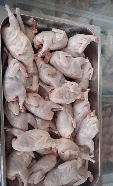 soba odun: Məhsul: Bildirçin – təmizlənmiş karkas Təsvir: - Ferma şəraitində — 1