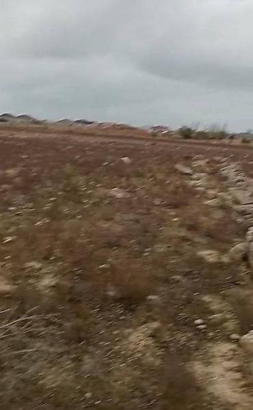 Bentley: 6 sot, Tikinti, Mülkiyyətçi, Bələdiyyə — 1