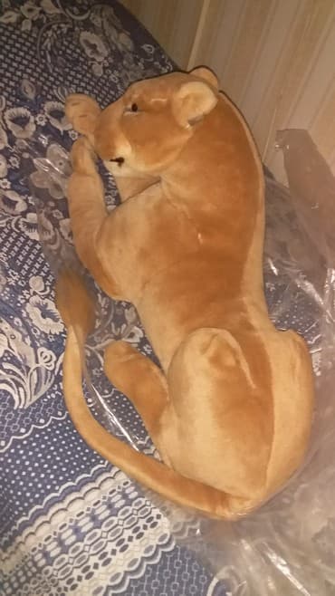 tetris qiymeti: Pələng tam təzədir.27 il əvvəl Amaydan alınmışdır.Sanki canlını — 2