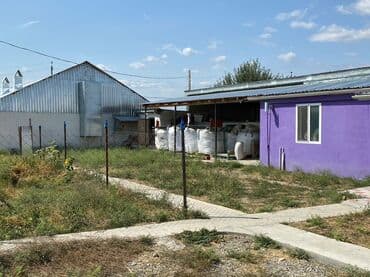 vasitəcisiz birbaşa sahibindən mənzil kirayələmək: Kənd təsərrüfatı, Mülkiyyətçi, Bələdiyyə, Kupça (Çıxarış) — 4