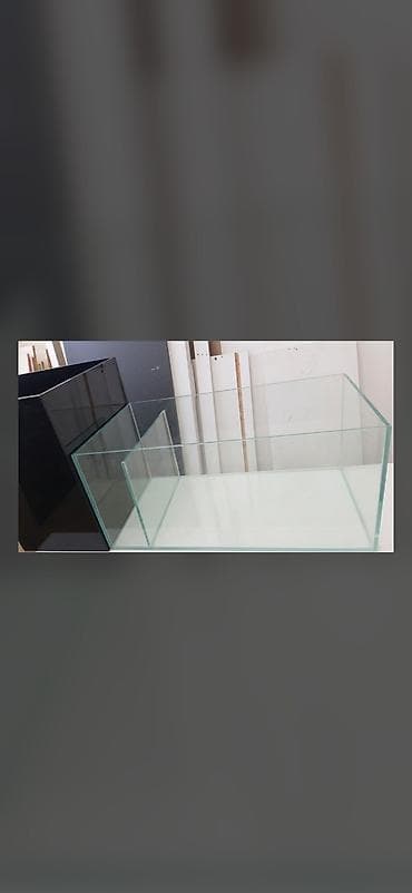 akvarium baliqlar: Şüşə akvariumlar – fərqli ölçülərdə - Material: şəffaf şüşə, düz — 1