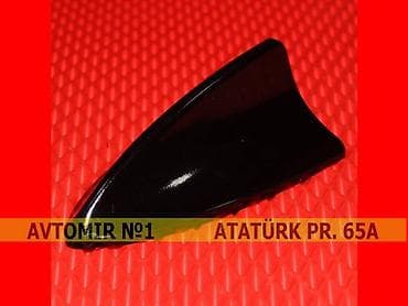 Dekorativ antenna qara 🚙🚒 ünvana və bölgələrə ödənişli çatdırılma — 1