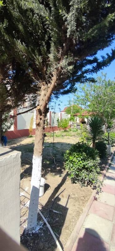 lənd kuruzer ucun led işıq lupası hardan tapmaq olar: 7 otaqlı, 300 kv. m, Yeni təmirli — 27