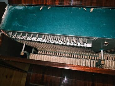 Аккордеоны: 1994 ci ilaz işlenmis — 4