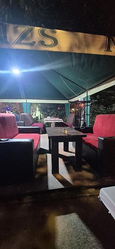 zeleniy cay: <> Dekor interer. Restoran,kafe,bağ evi yaşıllaşdırma xidməti — 2