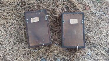 akustik sistem: Radiotehnika Kolonka, Növ - Akustik, rəng - Qara — 7