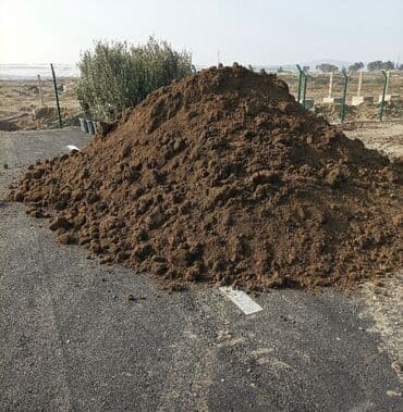 семена чиа купить в баку: Qara torpaq peyin Mehdiabad torpagi samaxi torpagi mereze torpagi — 2