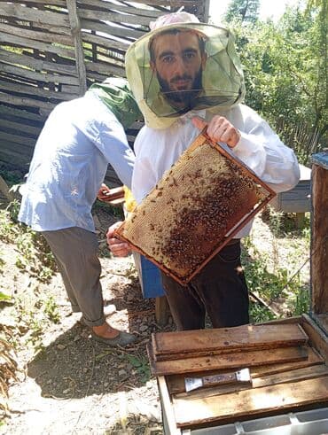 termo qab: Bu məhsul şəffaf plastik qabda təqdim olunan təbii bal pətəyidir — 2