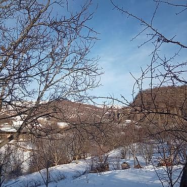 torpaq yeri: Tikinti, Mülkiyyətçi, Kupça (Çıxarış) — 5