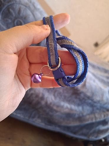 Məhsul: Pişik aksesuarları dəsti hamisi 15m qum istifade olunmuyub lalafo.az -da Məhsul: Pişik aksesuarları dəsti hamisi 15m qum istifade olunmuyub