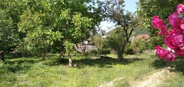 объявления о продаже земельных участков: 10 соток, Для сельского хозяйства — 8