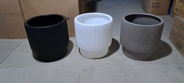 çöl bitkiləri: Dibcek dibcek qabi kvadrat gul qabi kvadrat cicek qabi kvadrat Dibcek — 22