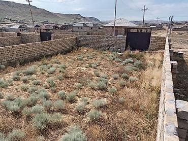 bine sovxoz evler: 2 sot, Kupça (Çıxarış) — 4