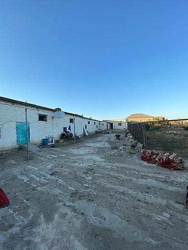 50 sot, Tikinti, Maklerlər narahat etməsin, Kupça (Çıxarış), Bələdiyyə — 2