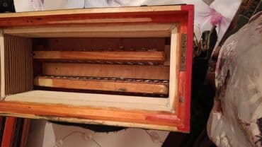 Akkordeonlar: Akustik Akkordeon — 5