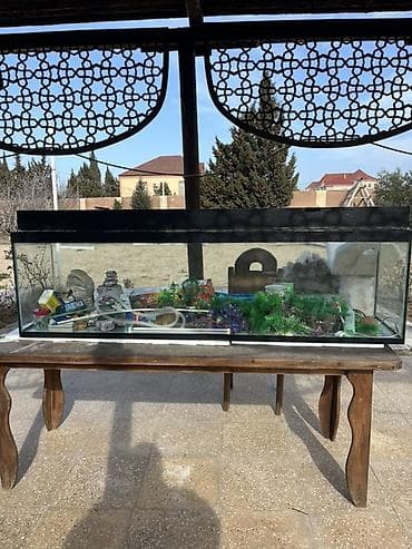 akvariu: Böyük ölçülü şüşə akvarium komplekti 180x50x40.Su tutumu 360 litr Tam — 1